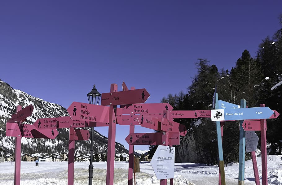 pink and blue road signs near trees, pink wooden road arrows HD wallpaper