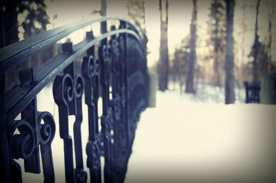 winter, nature, snow, cold, landscape, trees, outdoors, transportation HD wallpaper