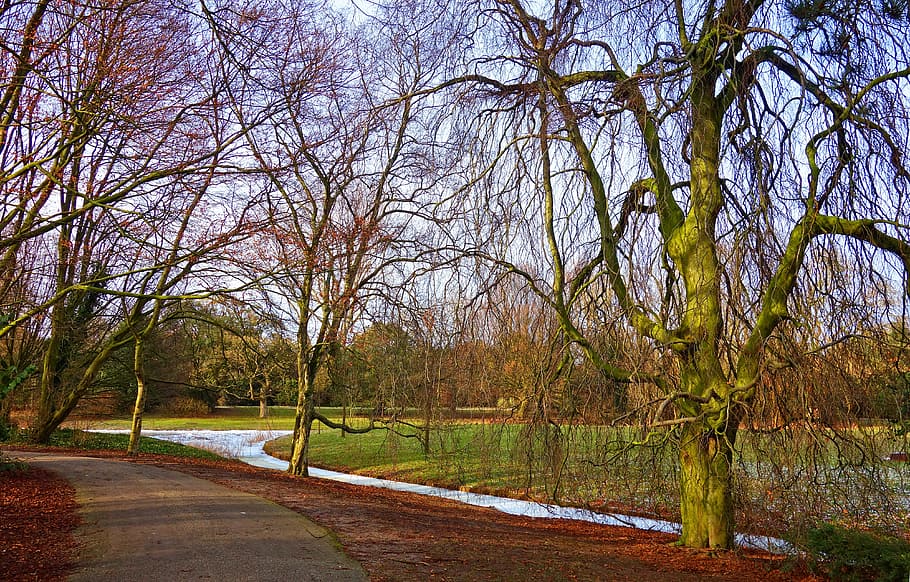 landscape, footpath, trees, bare trees, winter, moat, ice, park HD wallpaper