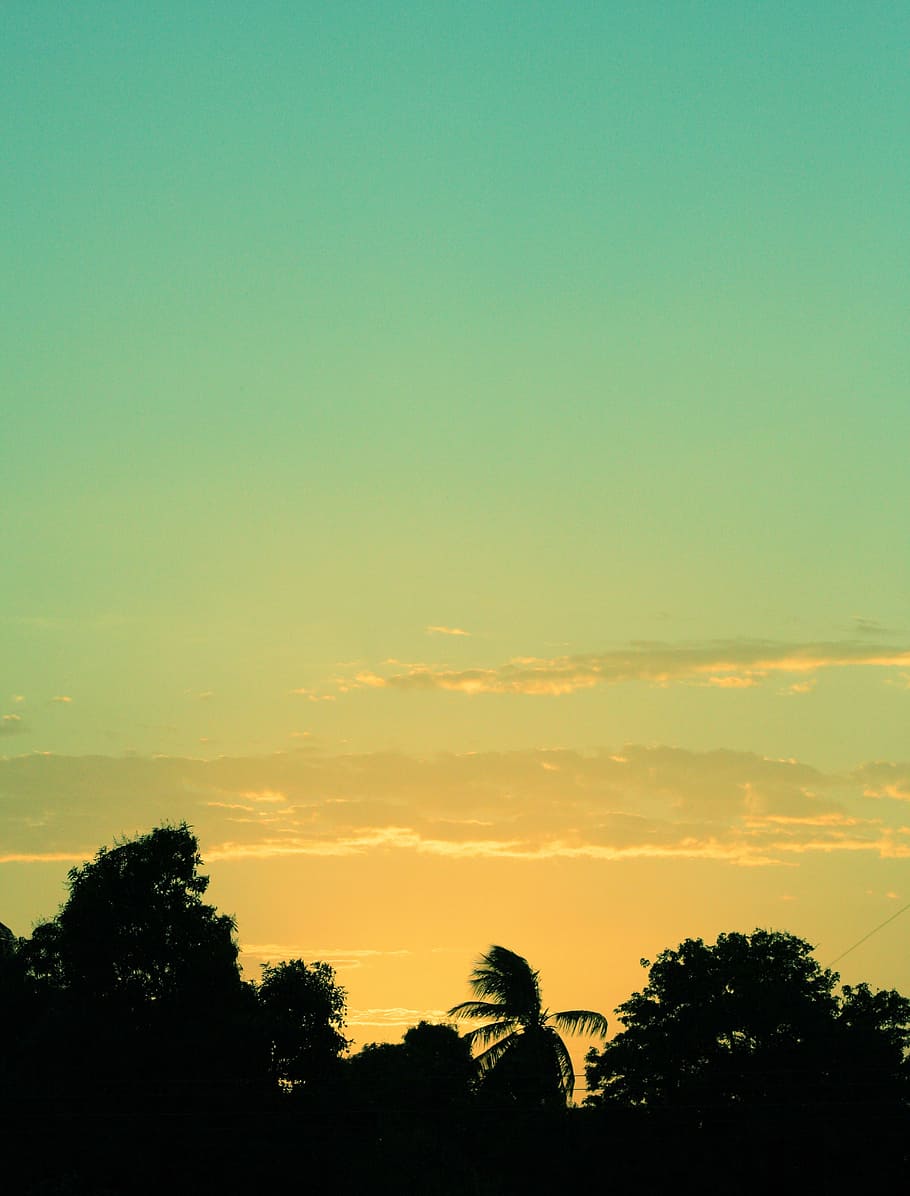 clouds, nature, sky, sunrise, sunset, outdoors, tree, summer HD wallpaper