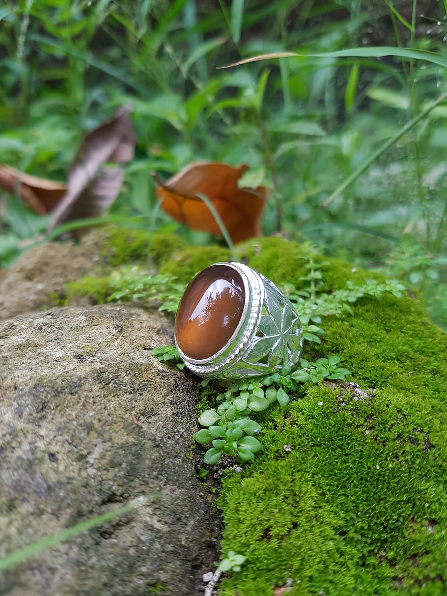 gemstone, ring, solar, coffe, image, green color, plant, nature HD wallpaper