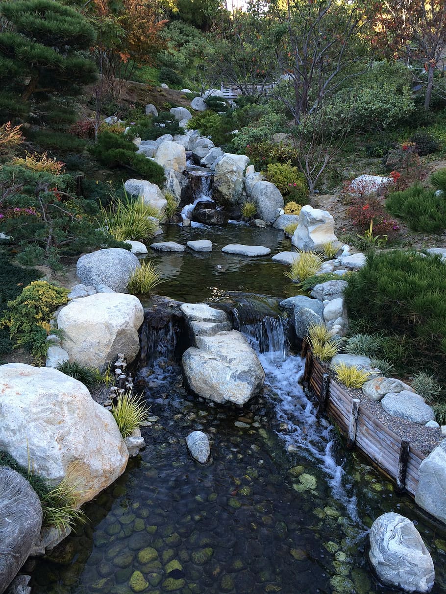 Stream, Garden, Bridge, rock - object, nature, day, outdoors HD wallpaper