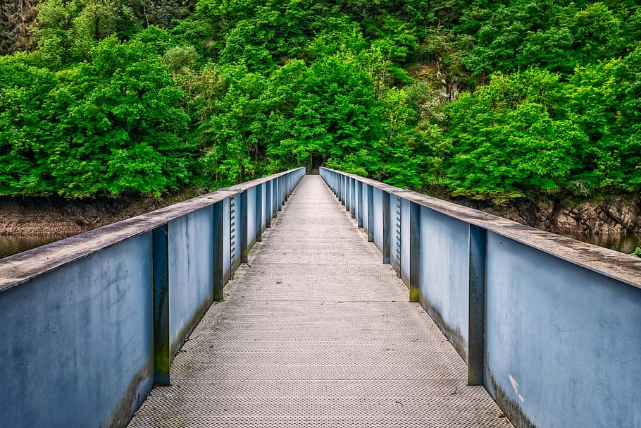 gray bridge near tree during daytime, river, landscape, transition HD wallpaper