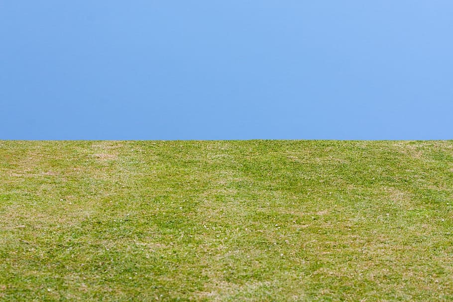 grass field, Green Grass, Grass, Blue, Blue Sky, background HD wallpaper