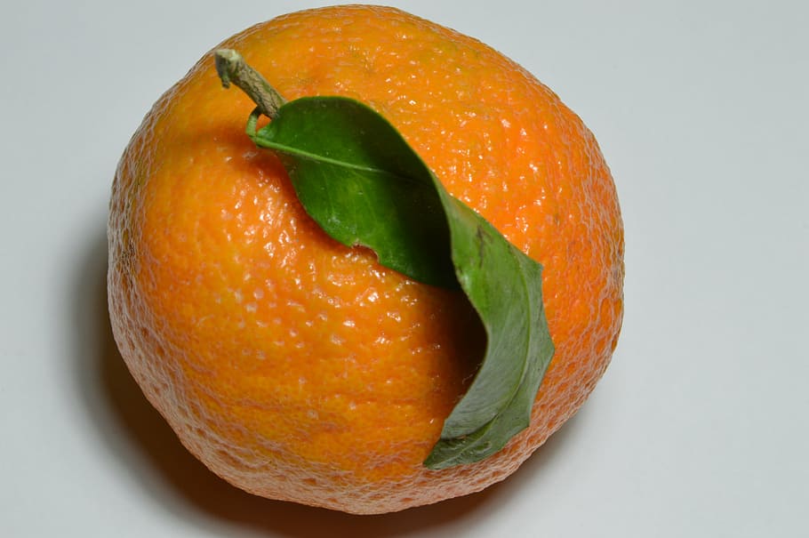fruit, food, healthy eating, food and drink, freshness, orange color HD wallpaper