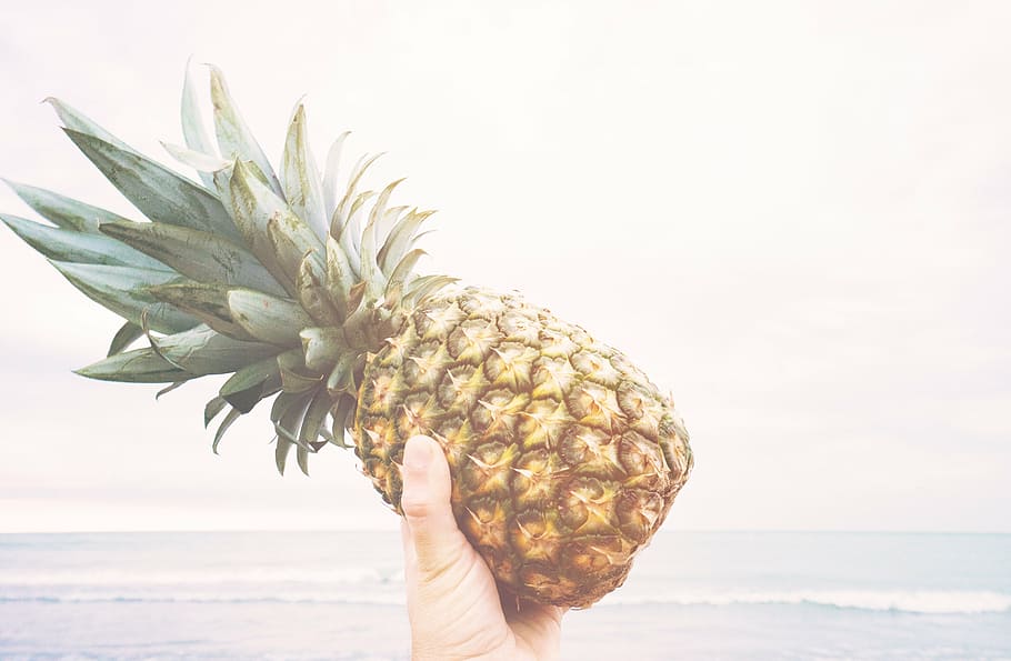 person holding yellow pineapple fruits near seashore, fresh HD wallpaper
