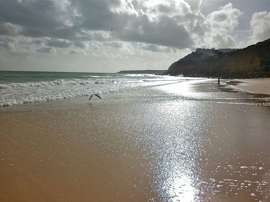 sea, beach, sand, water, sky, cloud - sky, land, beauty in nature HD wallpaper