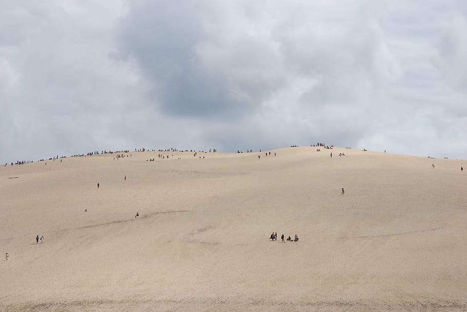dune, sand, france, dune du pilat, nature, desert, animal, cloud - sky, HD wallpaper