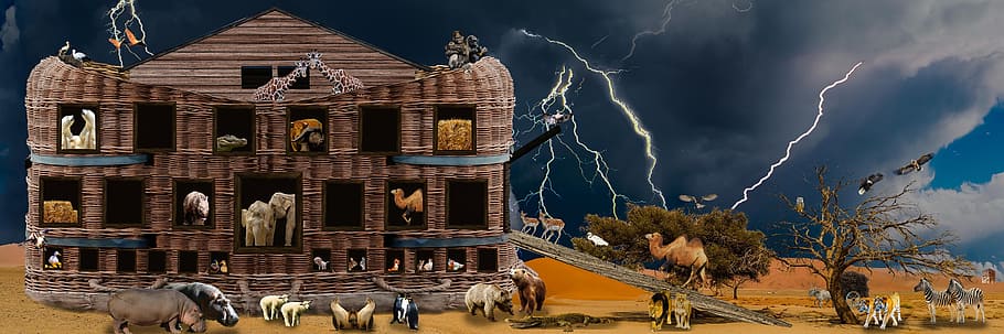 close-up photography of Noah's ark, Religion, Animals, archenoah, HD wallpaper