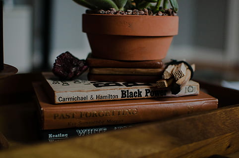 plant pot on books, green plant in brown pot on top of books HD wallpaper