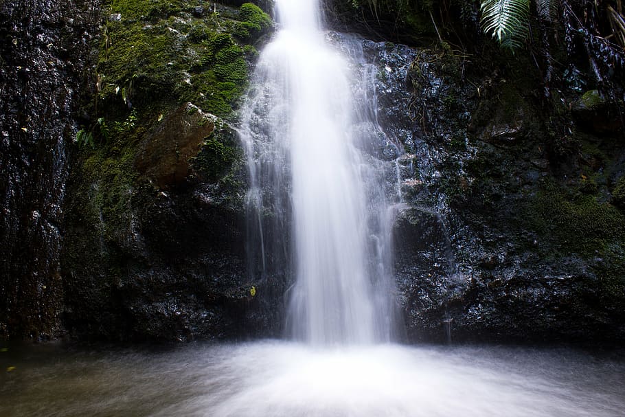 waterfalls with green leafed plants, silky, smooth, hiking HD wallpaper