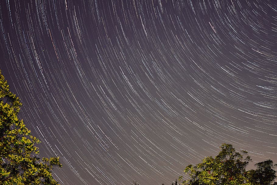 timelapse of sky full of star, green trees under gray skies, night HD wallpaper