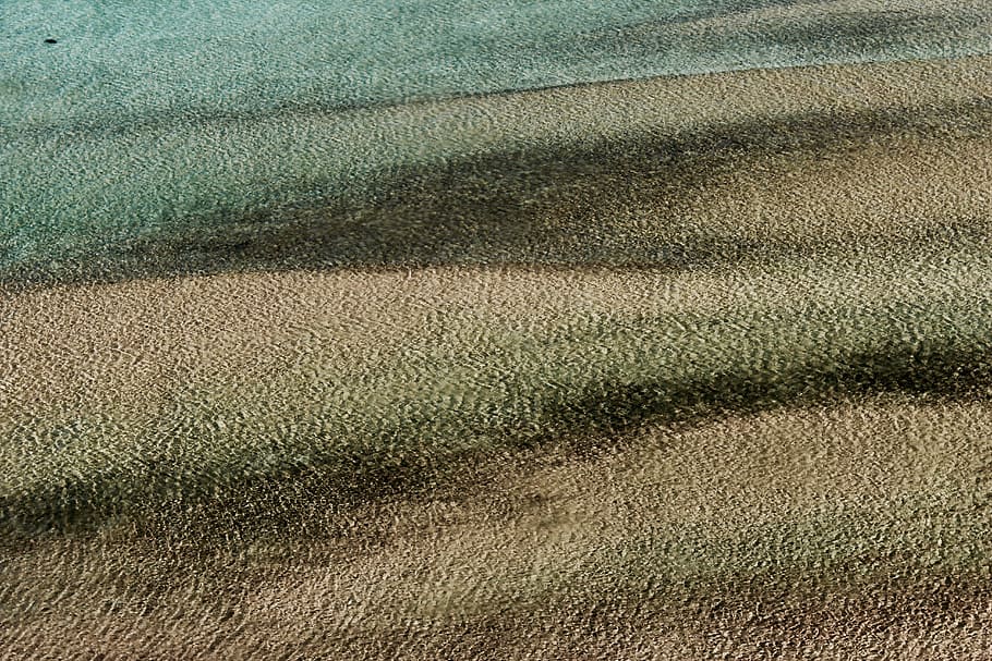 brown and green field, beach, bay, nature, landscape, outdoor HD wallpaper