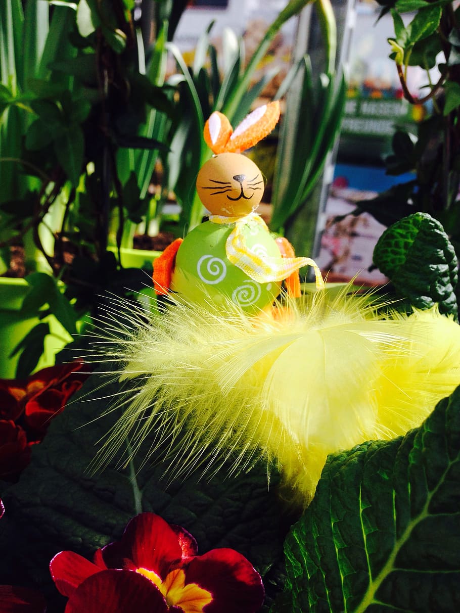 hare, easter, easter bunny, spring, flowers, plant, flowering plant HD wallpaper