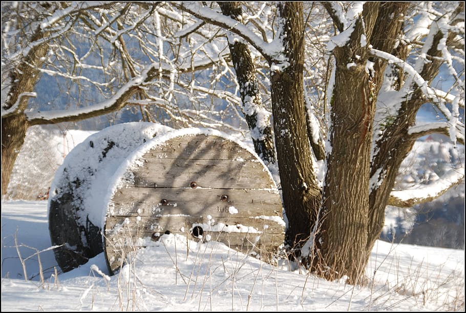 snow, winter, tree, cold temperature, frozen, tree trunk, nature HD wallpaper