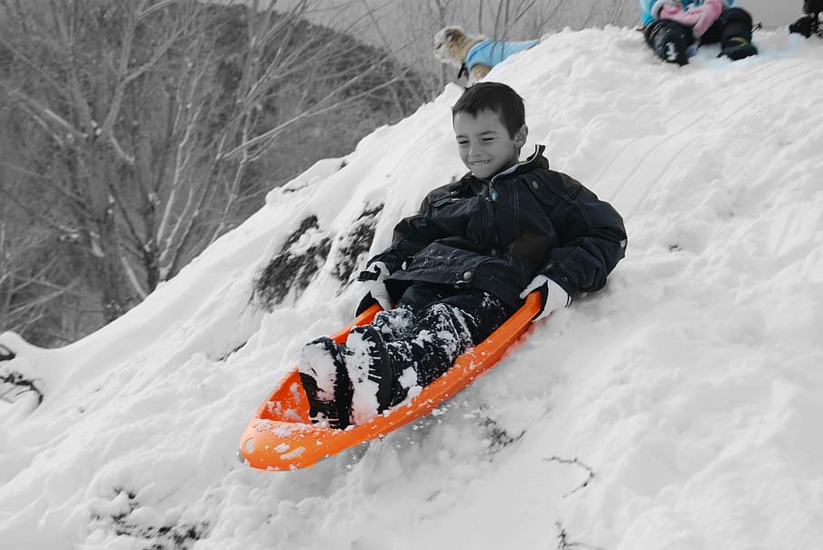 sled, snow, winter, sleigh, holiday, fun, cold, white, season HD wallpaper