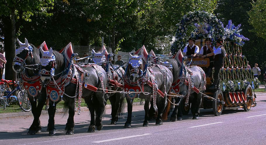 people riding carriage, munich, germany, oktoberfest, festival