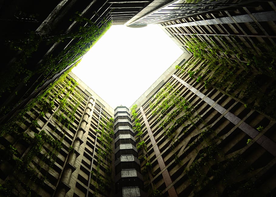 low angle photography of building with green plants, buildings