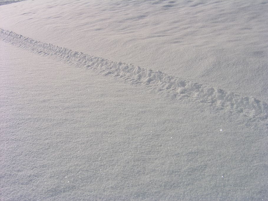 snow, winter, white, cold, season, snowfall, ice, land, sand HD wallpaper