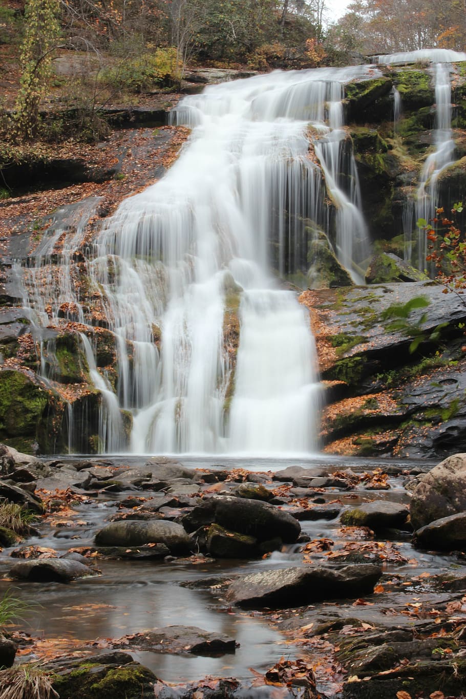 waterfall, bald river falls, nature, autumn, stream, forest HD wallpaper