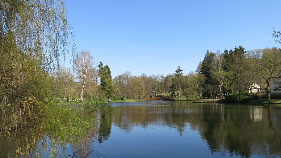 nature, waters, reflection, lake, tree, plant, beauty in nature HD wallpaper