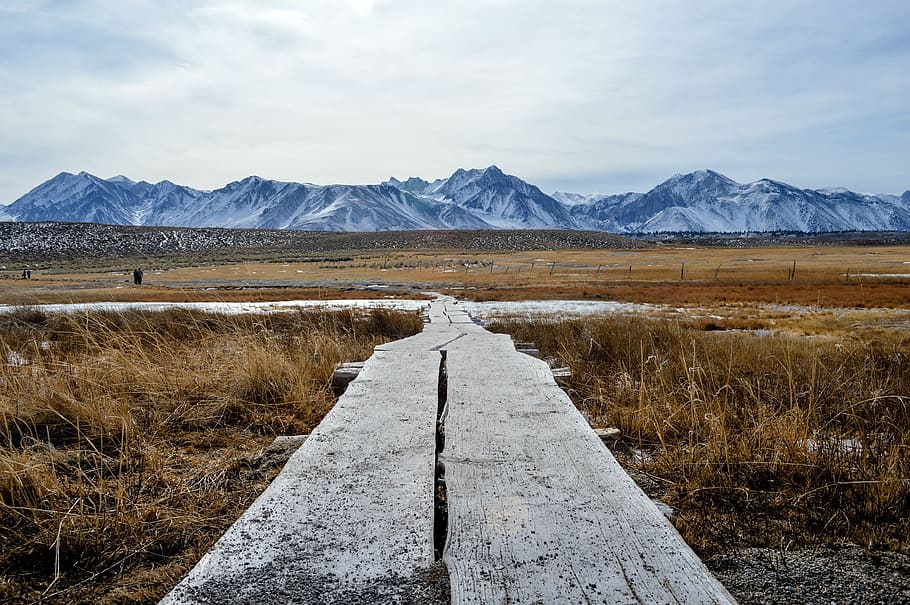 wooden dock surrounded with brown field near mountains, path HD wallpaper