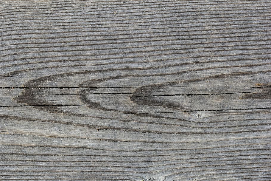 tree, board, gray, old pine tree, plank, background, rough HD wallpaper