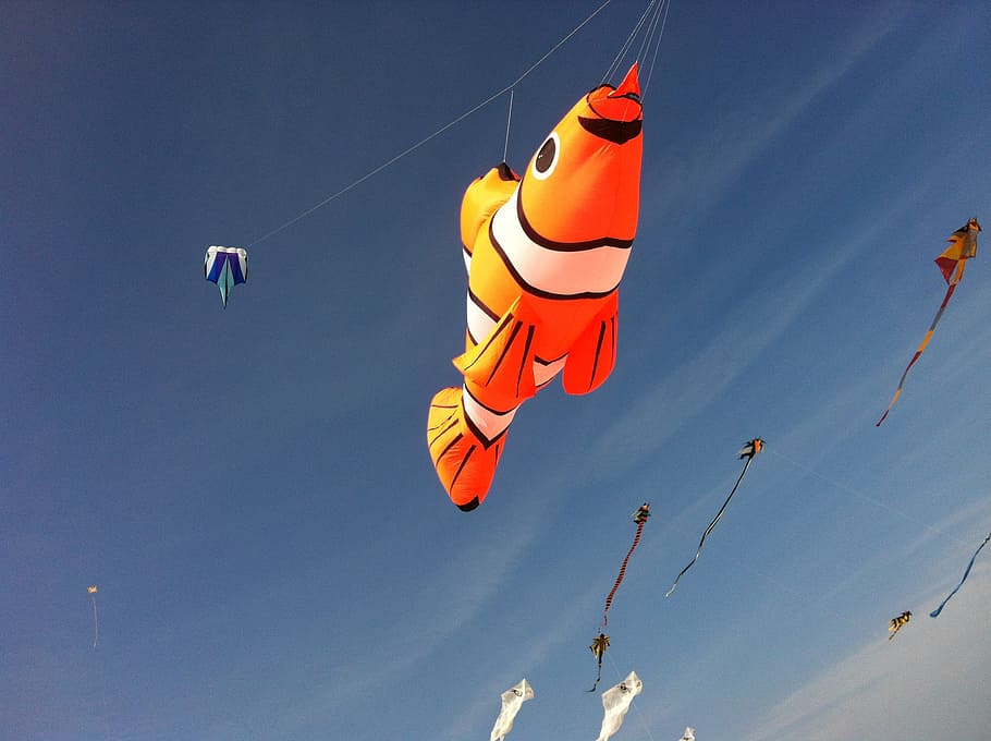 ameland, aviator, nemo, fish, beach, blue sky, sunny, sea, island HD wallpaper