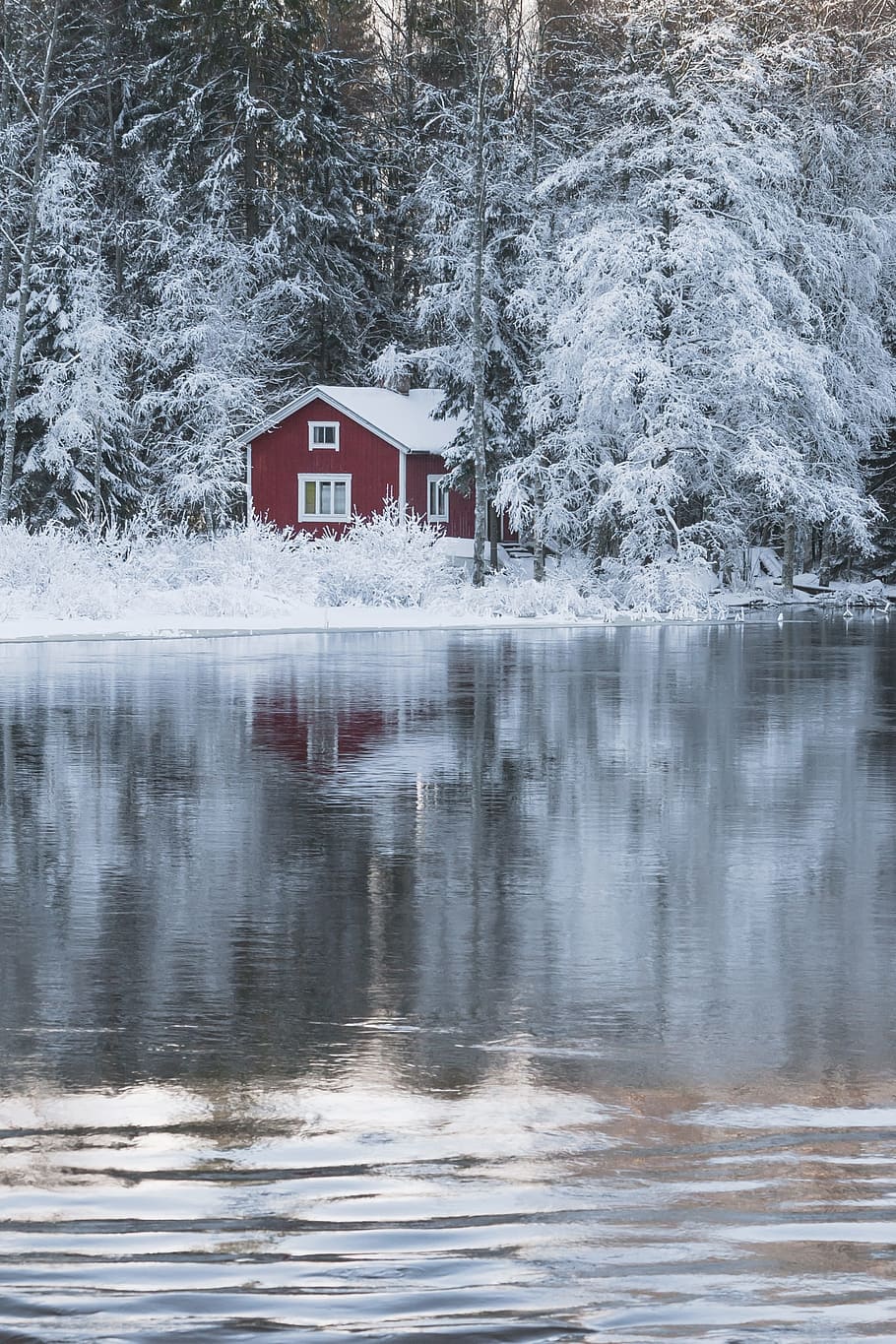 red and white wooden house near the lake, cottage, river, rapids HD wallpaper