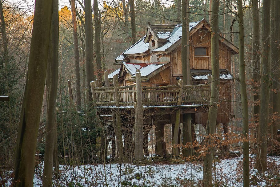 landscape photograph of tree house in forest, vacation, treehouse, HD wallpaper