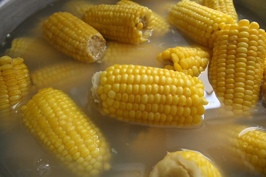 corn, food, delicious, food and drink, vegetable, freshness HD wallpaper
