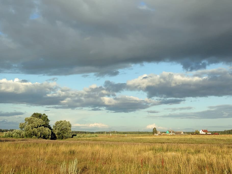 russia, landscape, scenic, fields, farm, rural, country, countryside HD wallpaper
