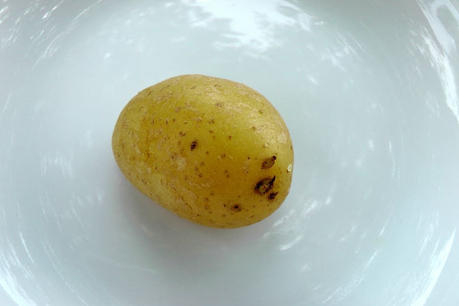 potato, cooked, food, food and drink, healthy eating, indoors HD wallpaper