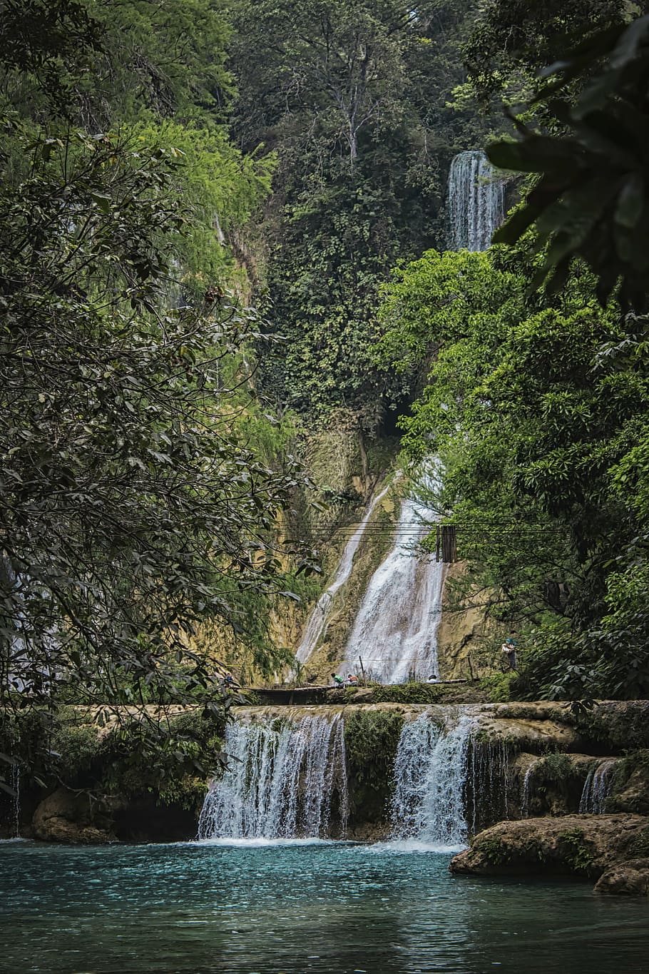 river, waterfall, forest, tree, plant, beauty in nature, flowing water HD wallpaper