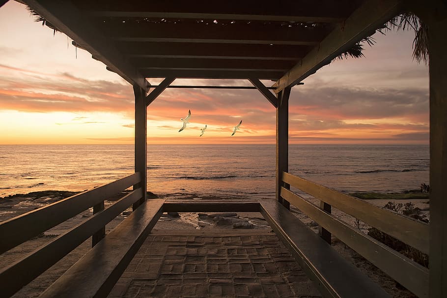 brown wooden hut beside seashore during orange sunset, seagull flying over the seashore HD wallpaper