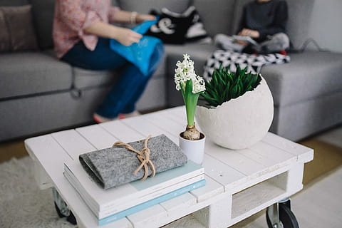Small wooden table with a potted plant and a grey wallet, magazines HD wallpaper