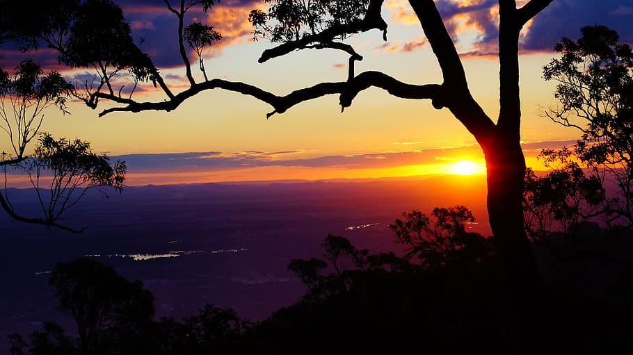 silhouette of tree near mountain cliff at golden hour, rockhampton, HD wallpaper