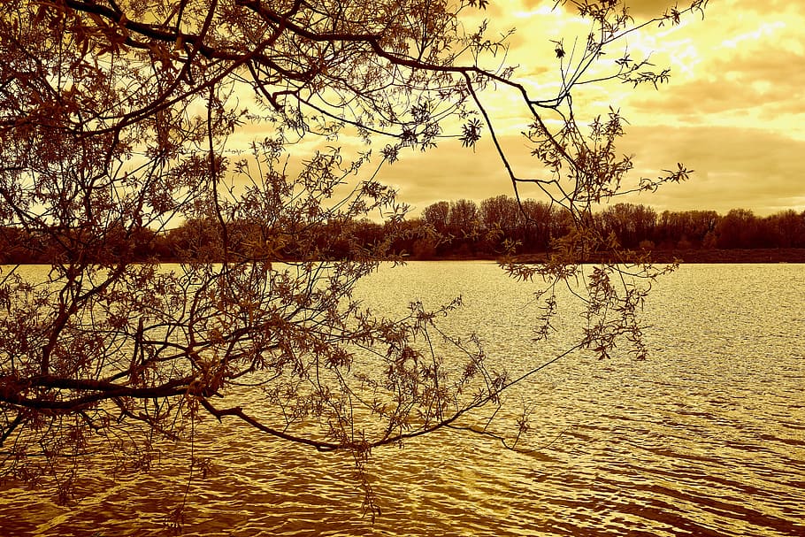 jetty, nature, sky, water, branches, clouds, environment, forest HD wallpaper