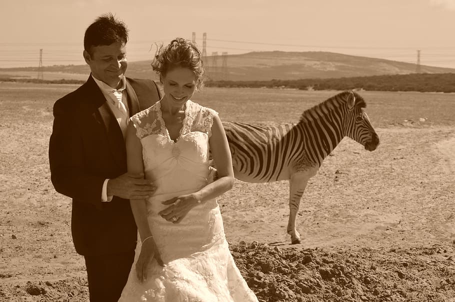 wedding, happy, love, two people, standing, land, three quarter length HD wallpaper