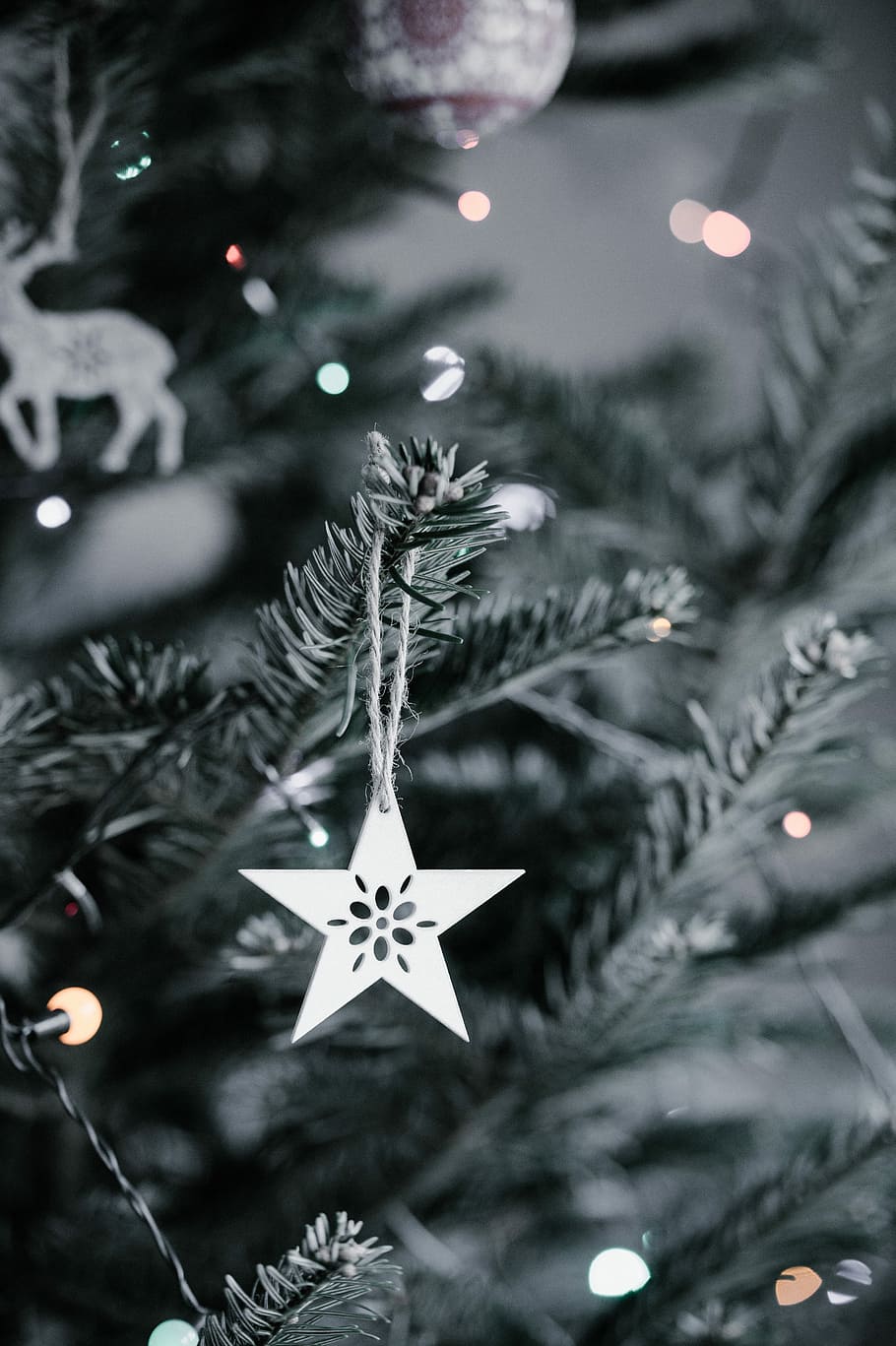 Christmas tree decoration, untitled, lights, foliage, celebration HD wallpaper