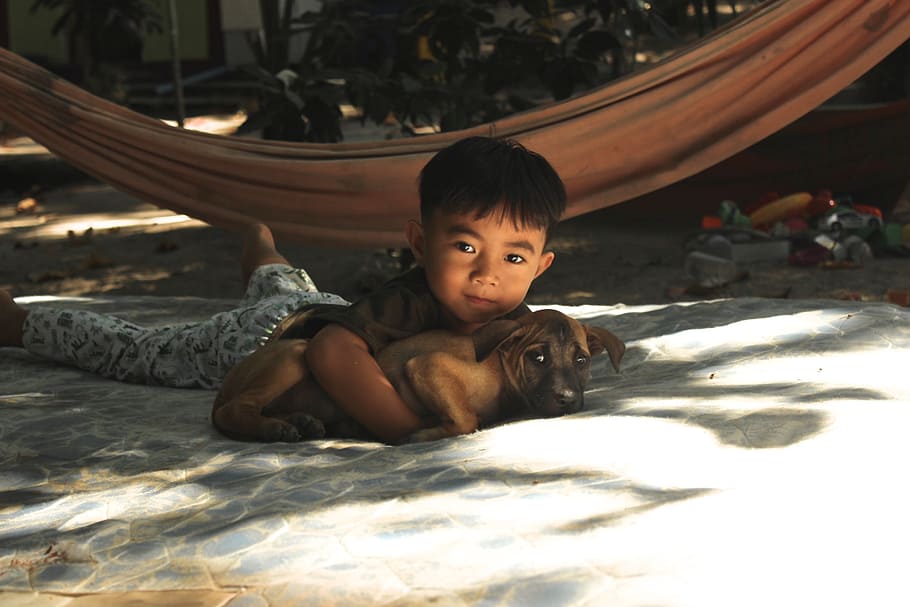 kid, dog, thailand, child, childhood, one person, real people HD wallpaper