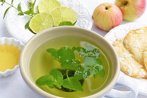 poured white ceramic bowl, tee, teacup, herbs, mint, balm, peppermint HD wallpaper