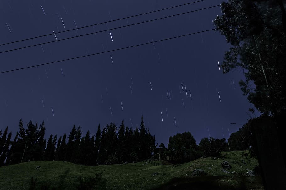 Expose, Night Sky, plazuela, star, nature, tree, outdoors, no people HD wallpaper