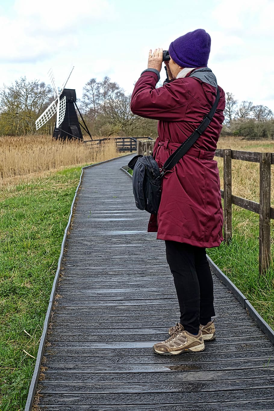 Binoculars, watching, looking, bird watching, discovery, searching HD wallpaper