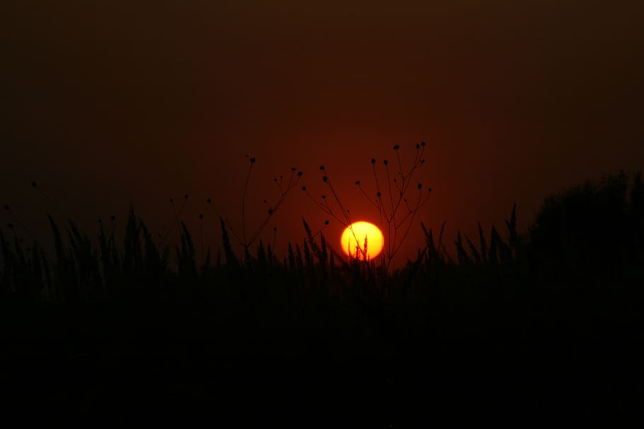sunset, sky, shadow, silhouette, beauty in nature, scenics - nature HD wallpaper
