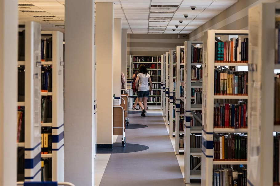 library interior, Book, Reading, Education, knowledge, rent HD wallpaper