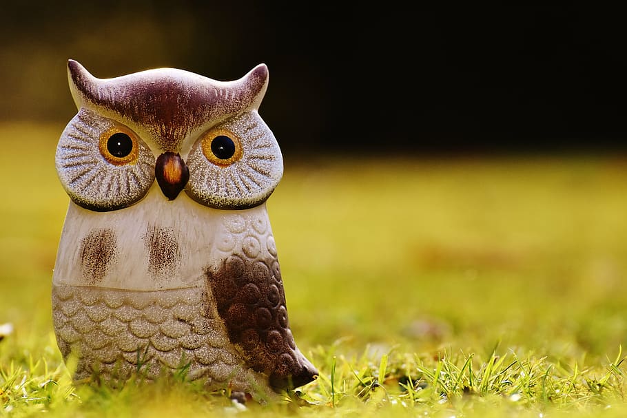 owl, bird, funny, meadow, ceramic, animal, cute, deco, figure HD wallpaper