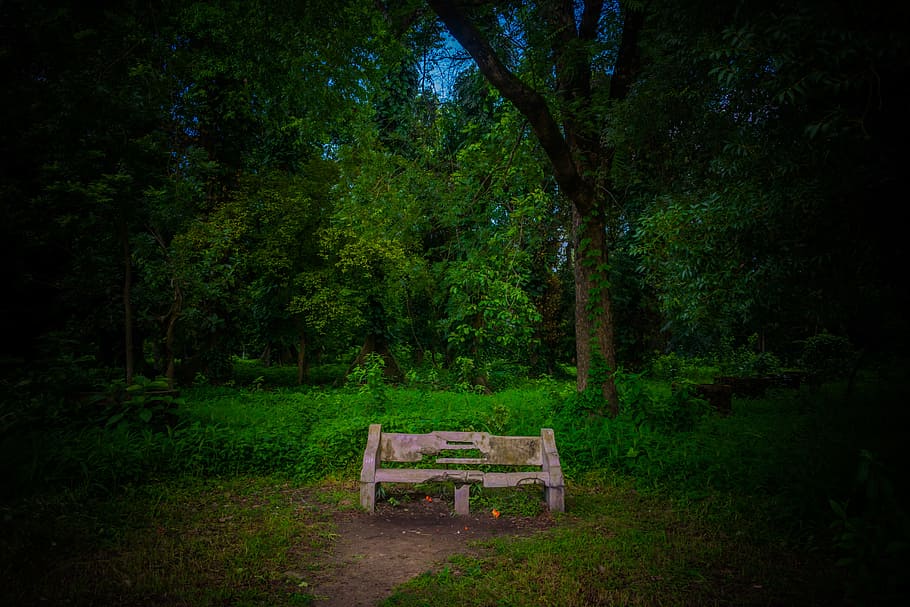 tree, wood, nature, grass, bench, outdoors, landscape, park HD wallpaper