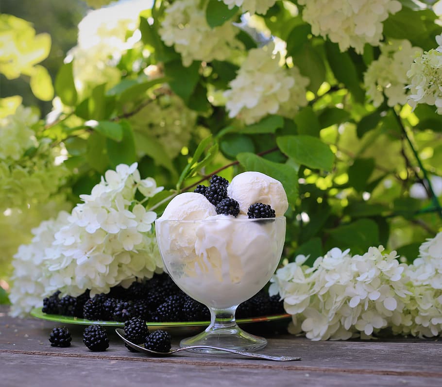 ice cream in round footed glass beside white petaled flowers during daytime, HD wallpaper