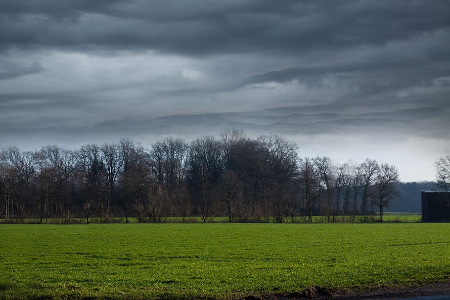 clouds, nature, sky, landscape, dark clouds, plant, cloud - sky HD wallpaper